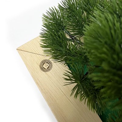 Box Garden Bonsai