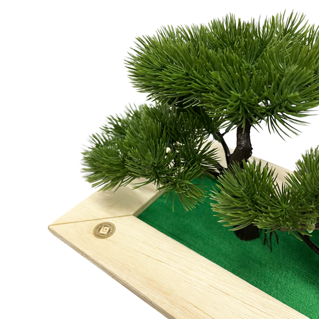 Foto: Box Garden Bonsai