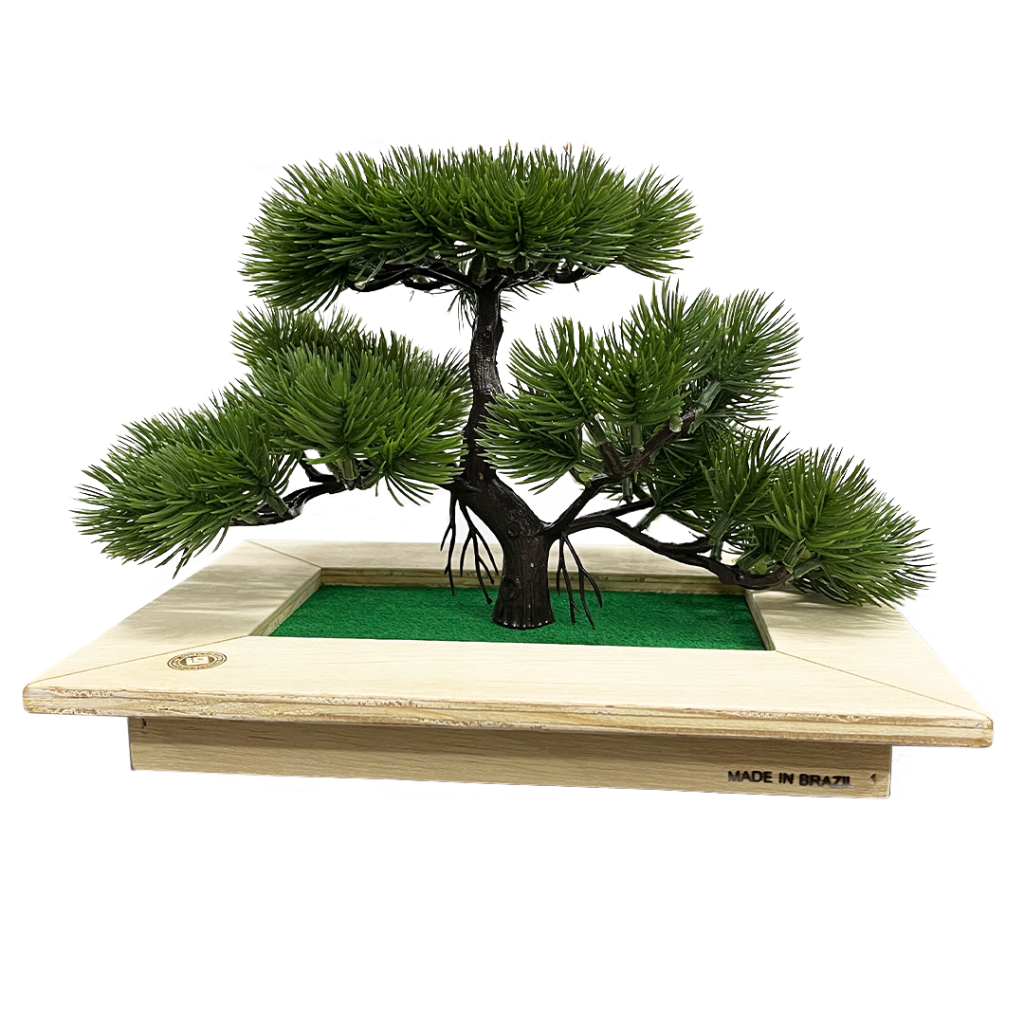 Foto: Box Garden Bonsai